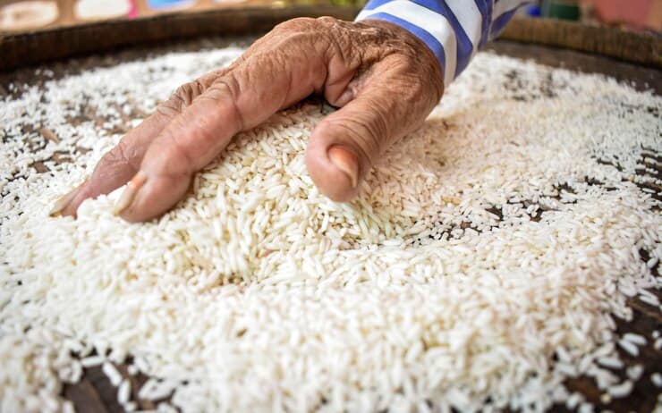 قیمت خرید برنج هاشمی شمشیری عمده به صرفه و ارزان